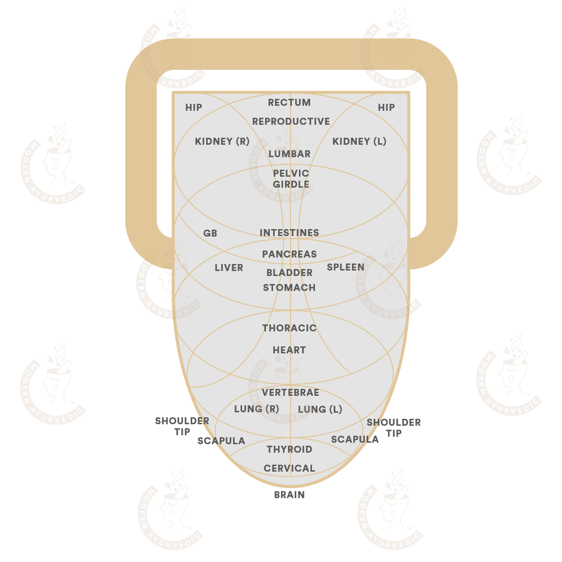 5 Benefits of Tongue Scraping Modern Ayurvedic