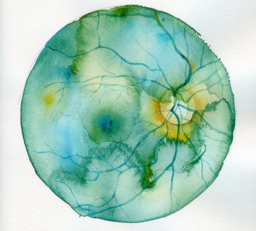 Ayurveda 101 // Ayurveda's perspective
