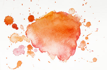 Ayurveda's herbs // Turmeric