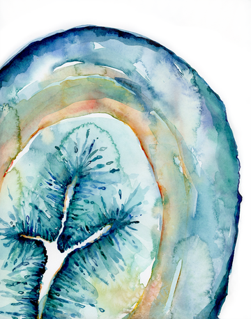 Ayurveda 101 // Kapha body type