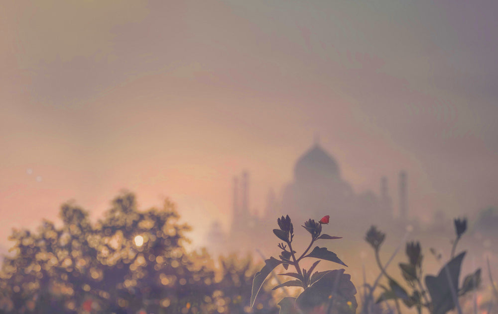 Taj Mahal in India, homeland of Ayurveda